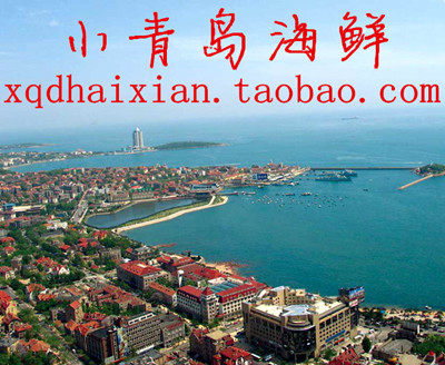 小青岛海鲜店