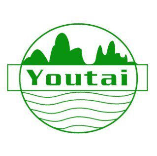 友泰旗舰店的LOGO