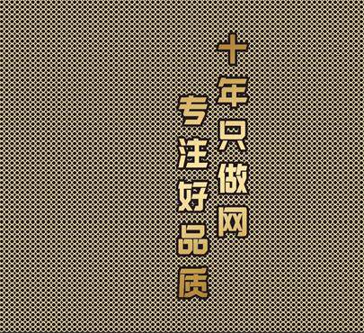 十年丝网厂