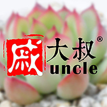 戚大叔多肉