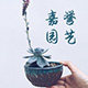 嘉誉园艺的LOGO