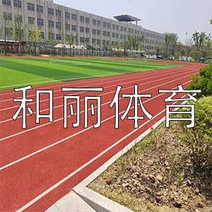 和丽体育塑胶厂家