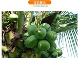 江南生鲜水果店的LOGO