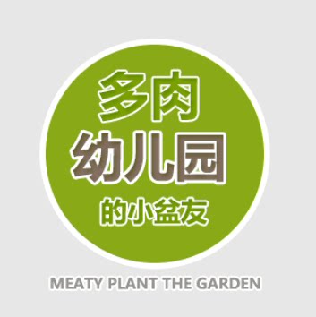 多肉幼儿园的小盆友