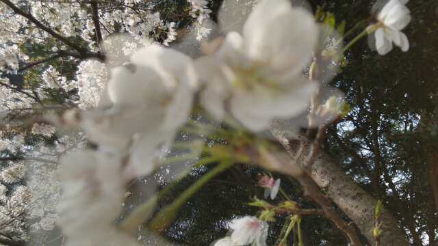 LED手写荧光板专家