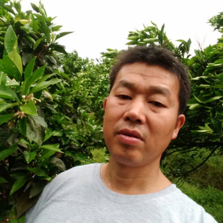 乡农橙子源小铺