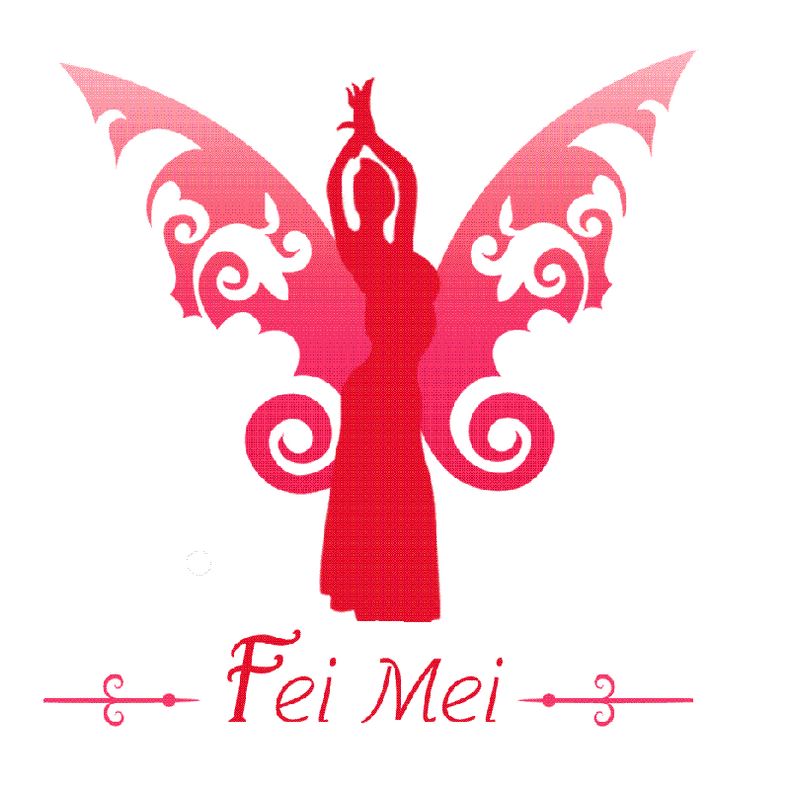 飞魅舞蹈用品批发店的LOGO