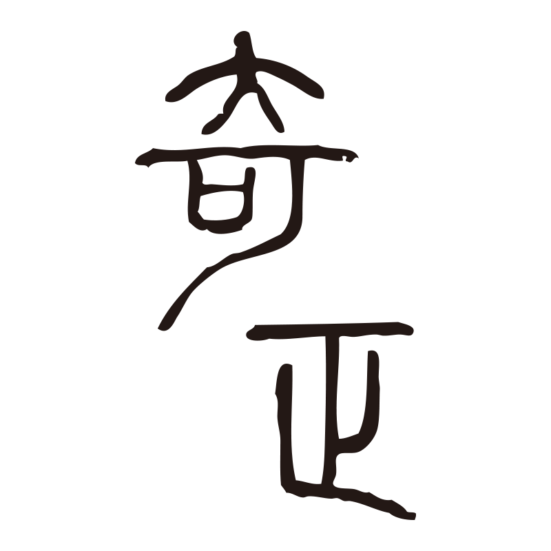 奇正医药海外专营店的LOGO