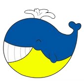 肥鱼宝贝