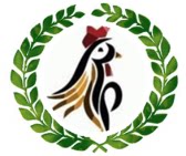 永清原生态珍禽 仿野生喂养