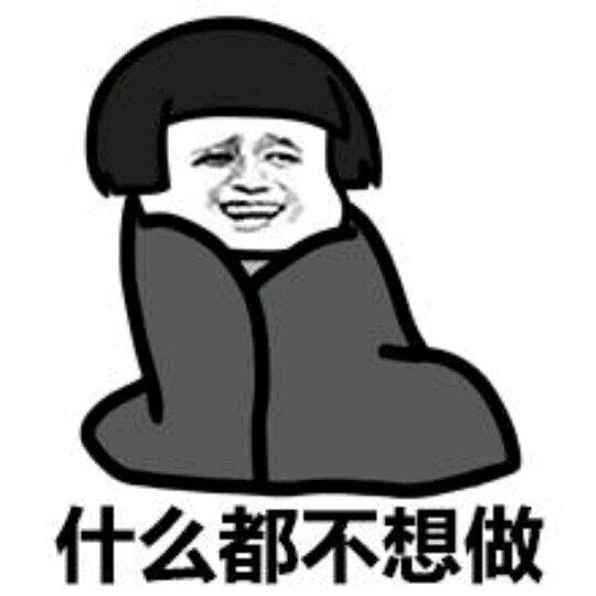 刘小歪的店