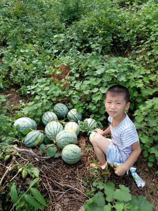 圣达五金标识厂