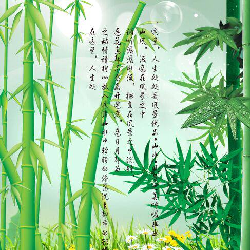 舒雅竹屋