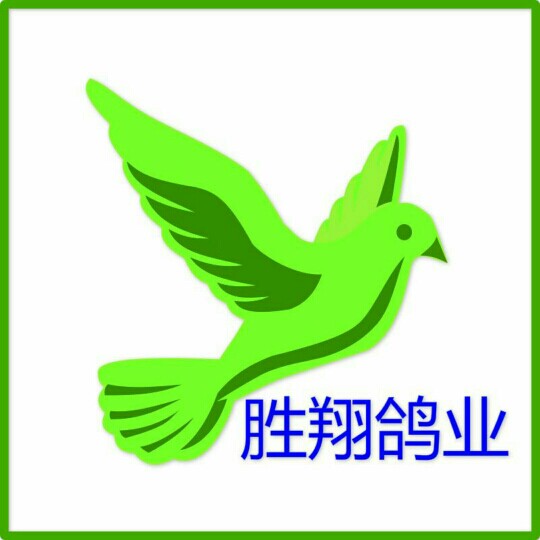 胜翔鸽具厂