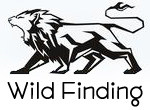 Wild Finding的LOGO