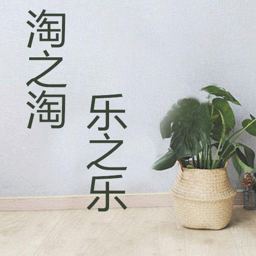 淘之淘乐之乐