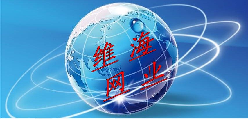 维海网业