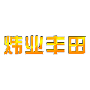 广州炜业汽车配件