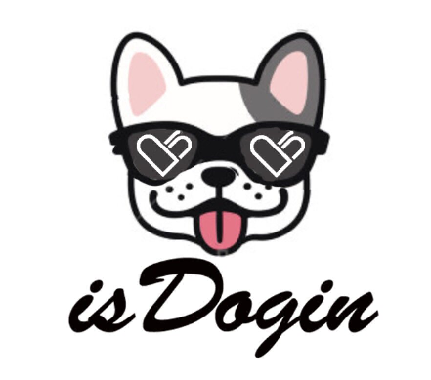 isDogin狗在里