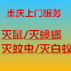 重庆灭鼠灭蟑螂防治