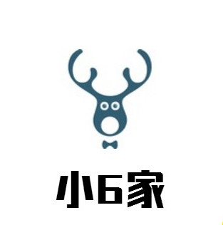 小6家 手工真皮发饰的LOGO
