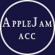 APPLEJAM ACC 韩国进口发饰品