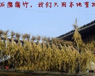 广东农家鲜
