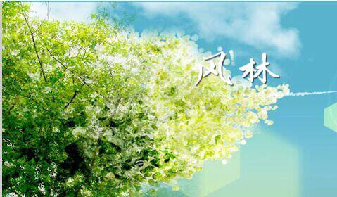 风林油漆辅料行的LOGO