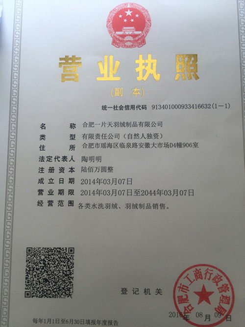 合肥一片天羽绒制品