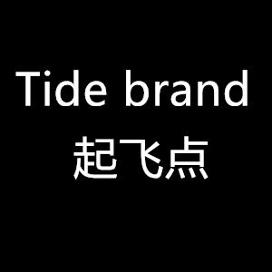 Tide brand起飞点