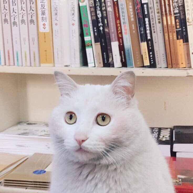 卓悦广告文化用品