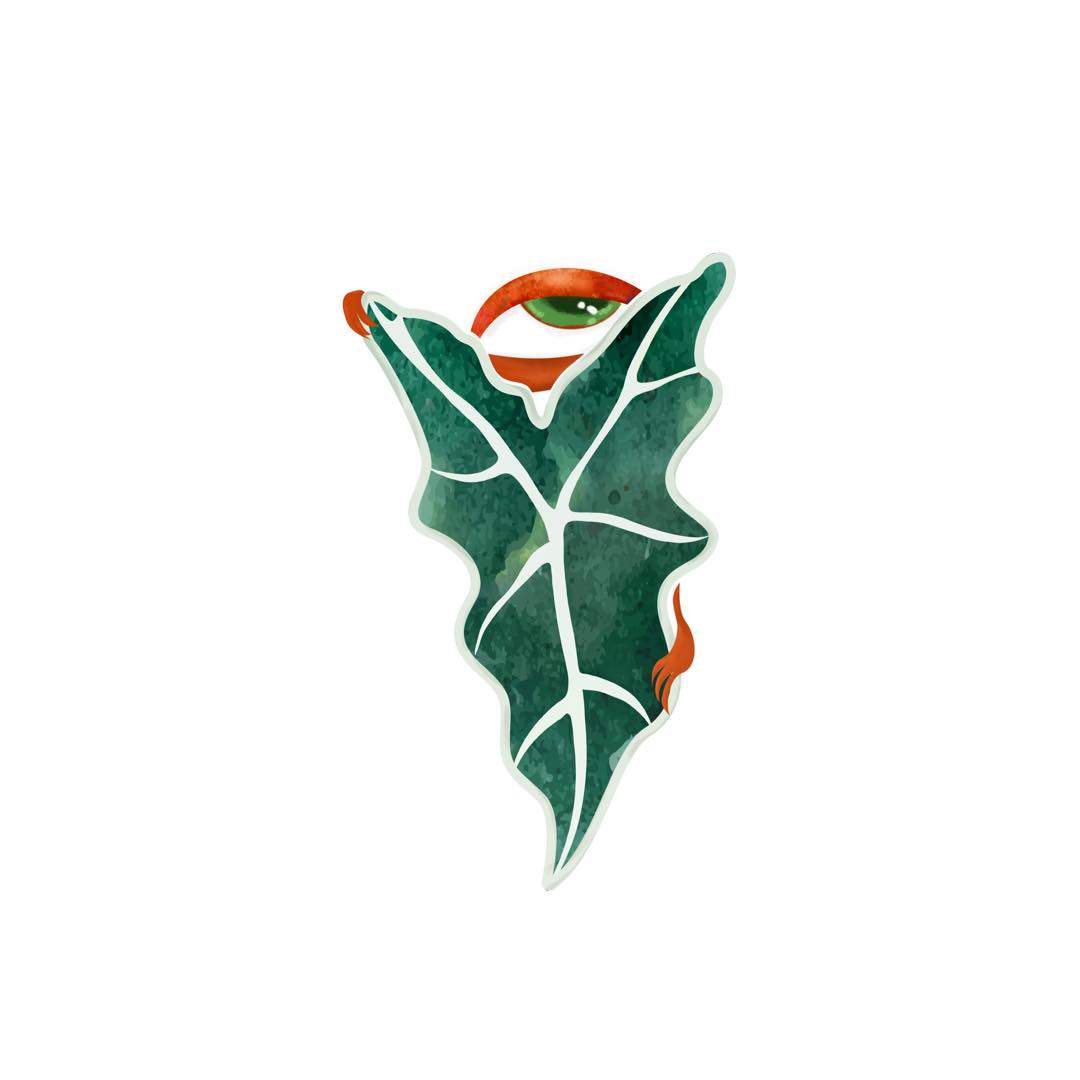 Equator 活性保持的LOGO