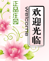 港货专业代购的LOGO