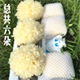 古田新鲜银耳批发