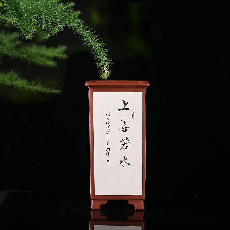 安心紫砂