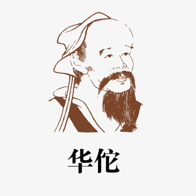 文文中药材批发
