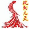 大时代Diear迪奥打底裤