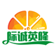 际诚英隆旗舰店