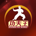 攻夫王家族