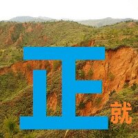 广州市正就电子企业店