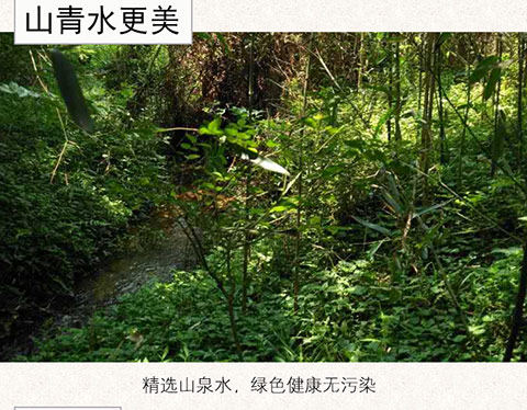忆乡醇米酒
