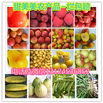 甜美美农产品有限公司