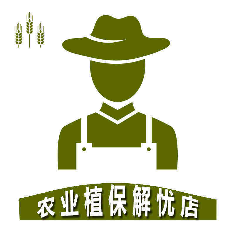农业解忧杂货店