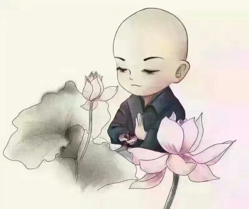 小兵素之多