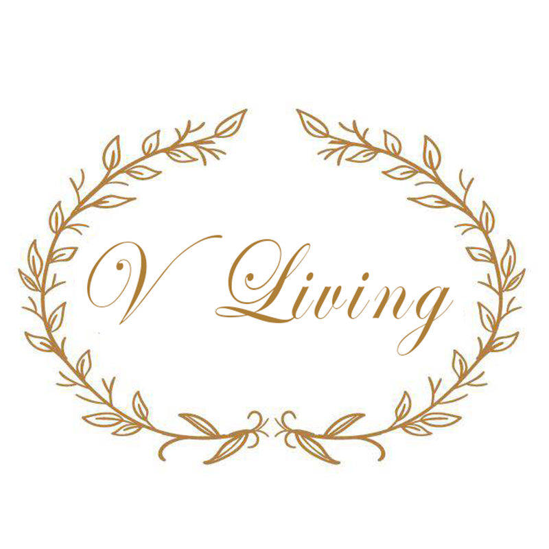 V Living生活馆的LOGO