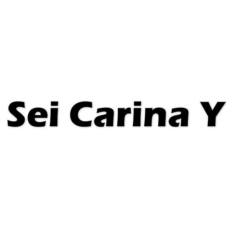 Sei Carina Y折扣店