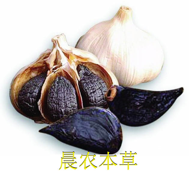 山东晨农本草黑大蒜