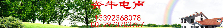 奔牛电声