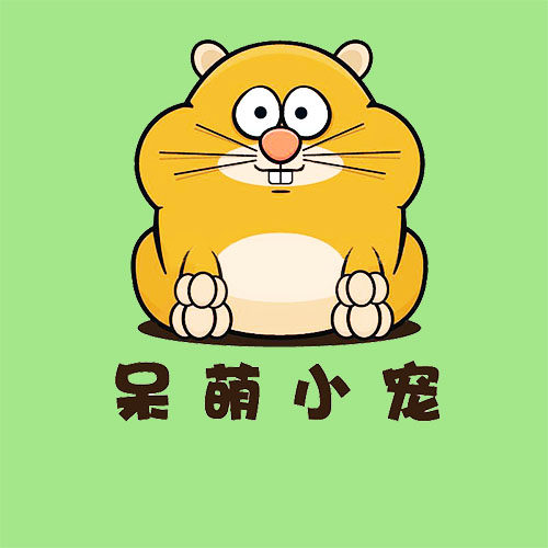 呆萌小宠生活馆