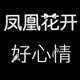 凤凰花开好心情